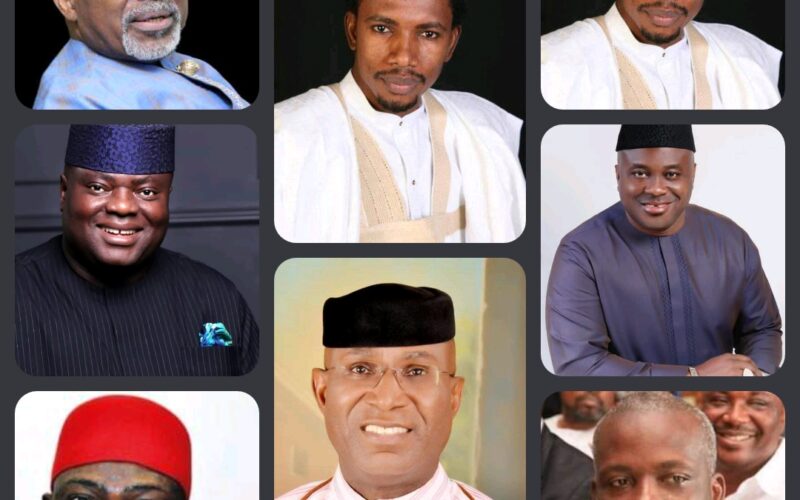 Abaribe, Ekweremmadu, Omo-Agege, Gershom Bassey, Sandy Onor, and other senators who might become governors in 2023