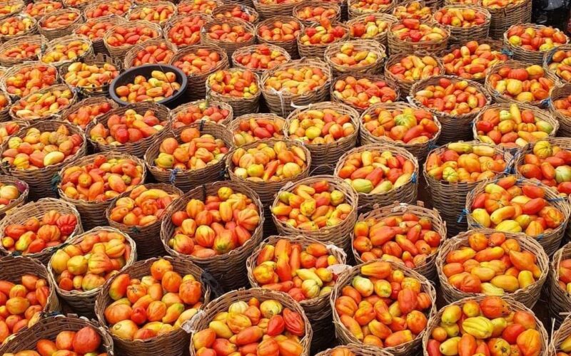 SAD!!! Kano Tomato, Onion Farmers, Marketers Lose Big As Blockade Persists