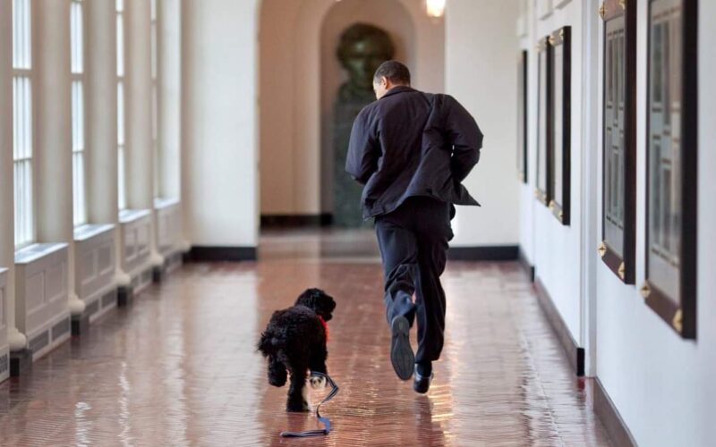 SO SAD!!! BREAKING: President Obama loses close friend and companion, Bo