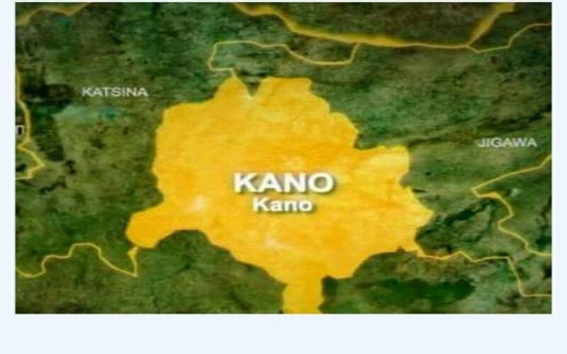 Race for Kano Govt House: Ganduje backs Danzago as battle for governorship ticket thickens