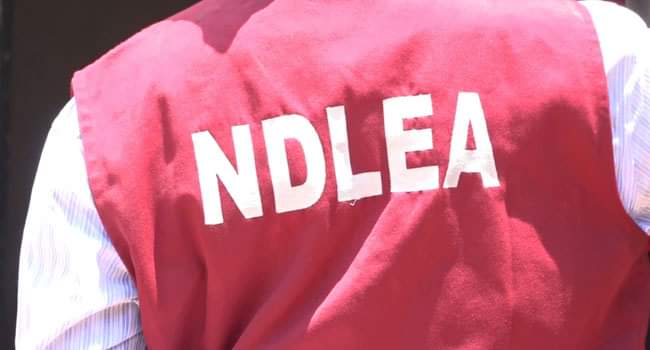 NDLEA releases final list, asks successful candidates to report for training