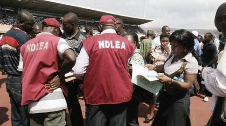 NDLEA arrests 89 drug dealers with 2,800 tonnes of illicit drugs in Kebbi