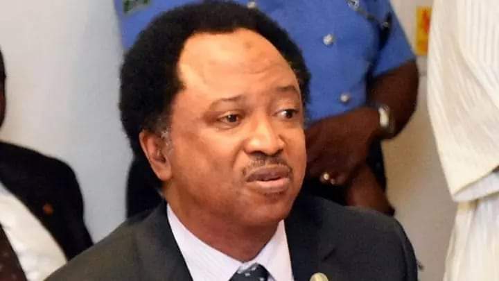 Kaduna: Shehu Sani dumps PRP, set to join PDP