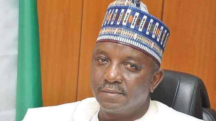 The Many Controversies Under Sacked Power Minister, Sale Mamman