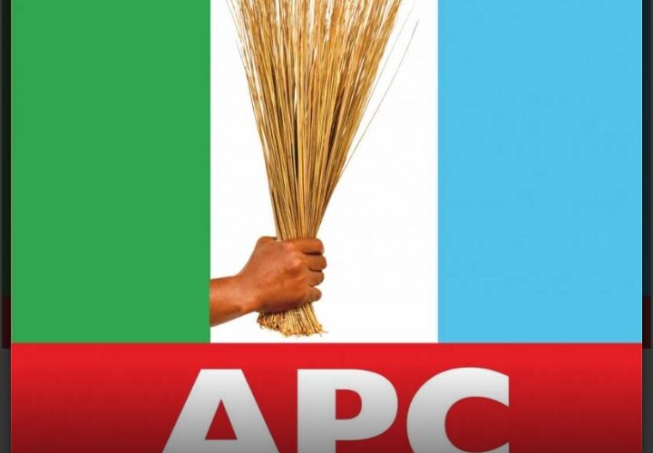 26-year-old man declares bid for APC national women leader position, says men should “take charge of the affairs of women at all times”.