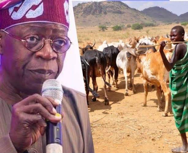 Fulani herdsmen prefer Tinubu as president in 2023, says Miyetti Allah