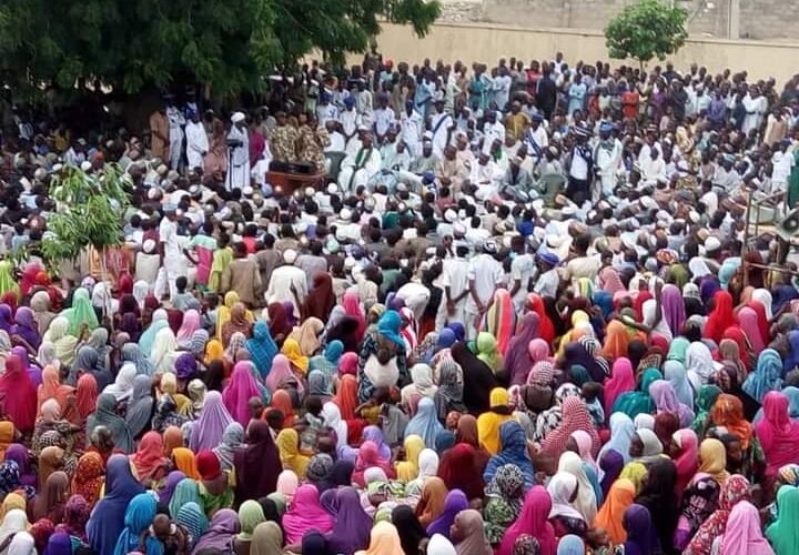 Borno women gave birth to 879,524 babies in 2019; Bayelsa 199 – NBS