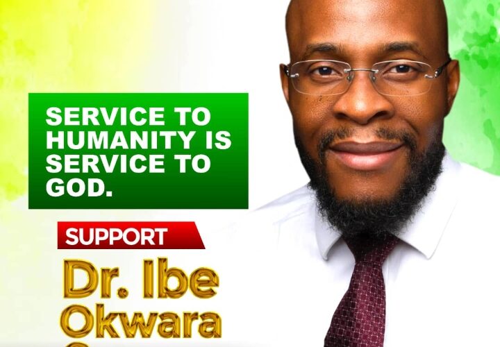 Looking In from The Outside: A Case for Ibe Okwara Osonwa, By Enyi E. Emesih