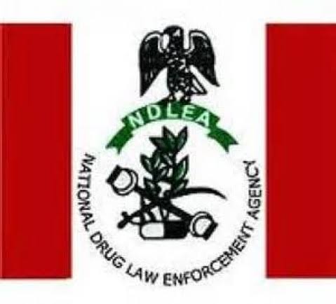 NDLEA uncovers N22Billion worth of Tramadol imported by alleged drug baron Afam Ukatu linked to Abba Kyari
