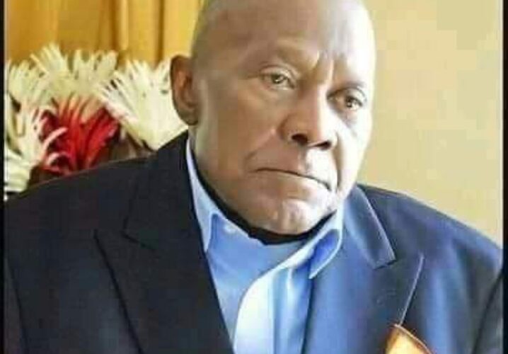 Family Confirms Death Of Senator Arthur Nzeribe