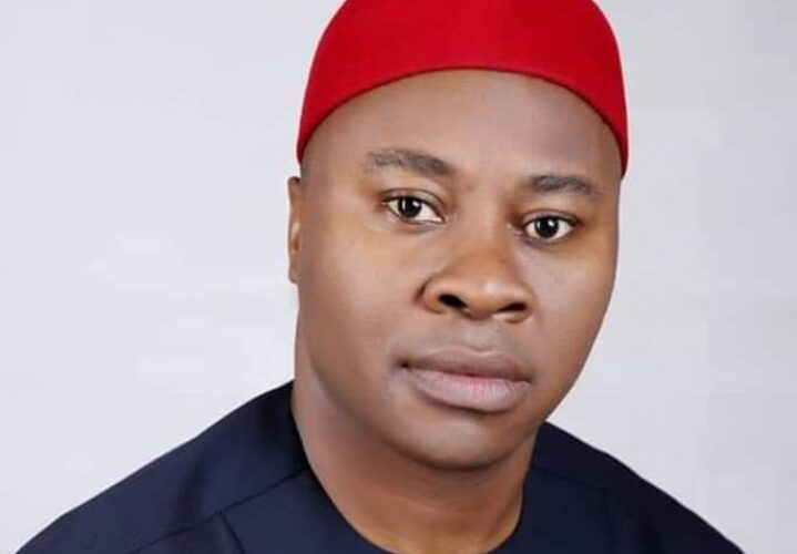 2023 Abia Guber: Paul Ikonne Ignores Buhari, Refuses To Resign As NALDA Boss