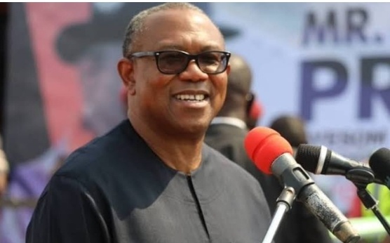The Peter Obi Tsunami APC and PDP are Underrating By Farooq A. Kperogi