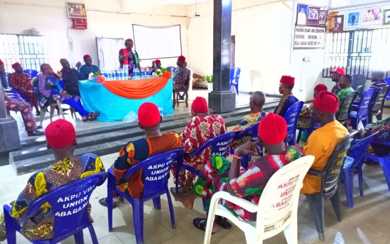 Anambra: Stakeholders applaud Ekwunife over reconstruction of community Hall