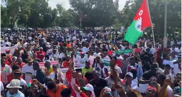 2023: Thousands March For Peter Obi In Abuja