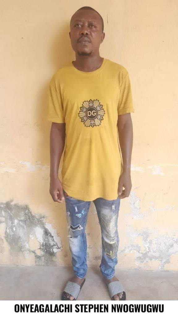 FB IMG 1669728325428