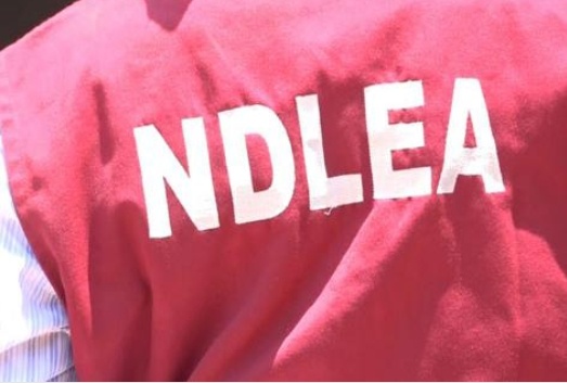 BREAKING: NDLEA declares socialite wanted for drug trafficking