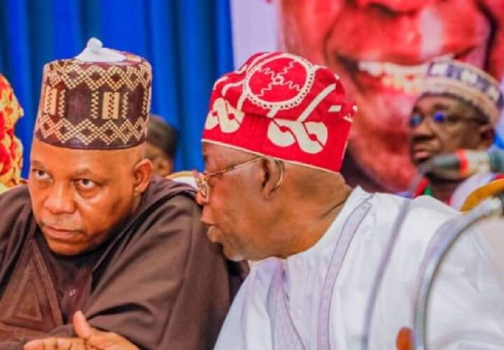 2023: Tinubu healthier than me – Shettima