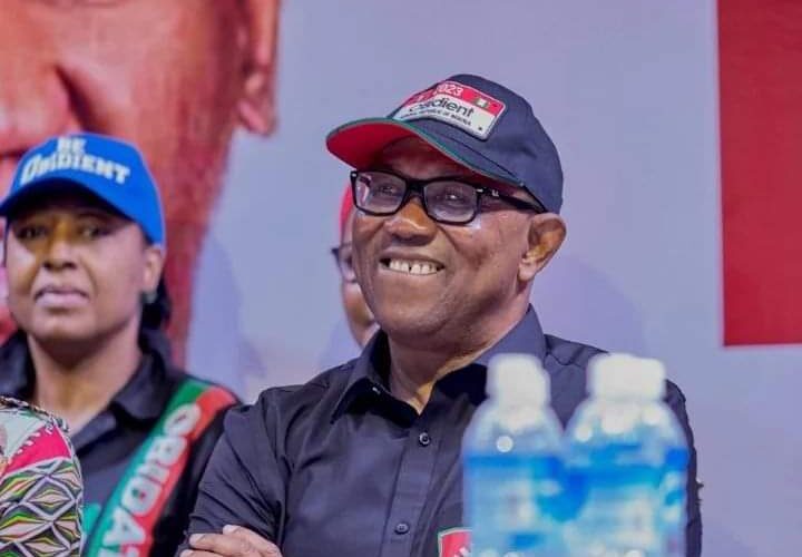 UK authorities dissolve Peter Obi’s company, Next International