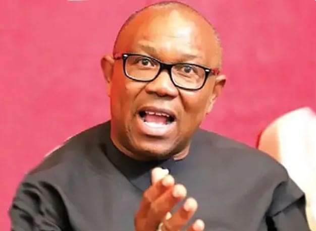 Peter Obi: A tsetse fly perching on the scrotum