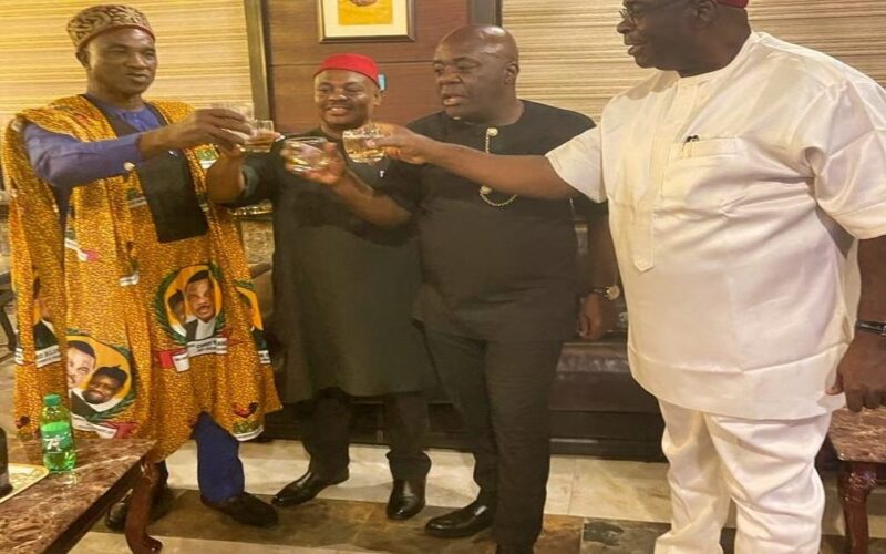 Court Sacks Ezeokenwa Jr. As APGA Chairman, Voids Victor Oye’s Actions, Udensi, Edozie Njoku Others Jubilate