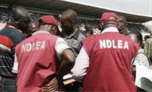 NDLEA convicts 79 drug traffickers, arrests 136 others in Anambra