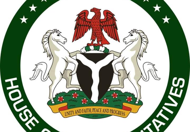 Reps Committees: Bichi gets Appropriation, Akin Alabi gets Works [Full List]