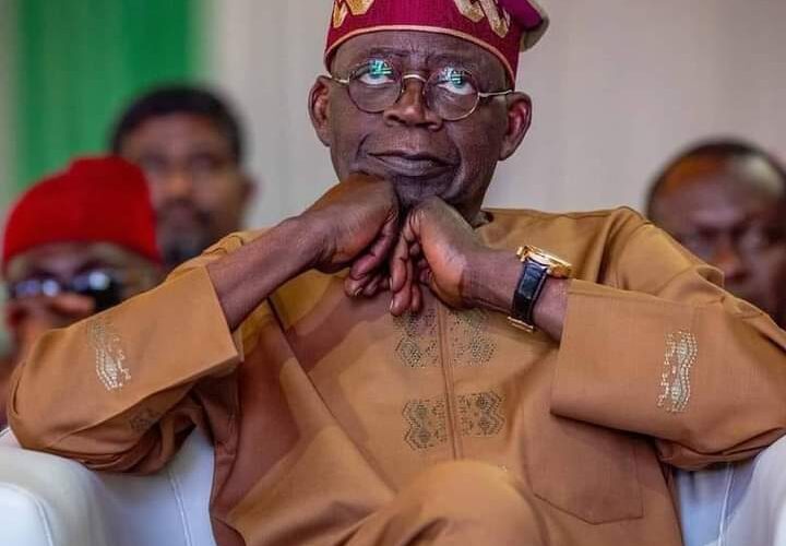 6 Major Findings About Tinubu From The CSU Documents, By Farooq Kperogi