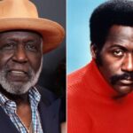 Veteran Hollywood Actor Richard Roundtree Is Dead