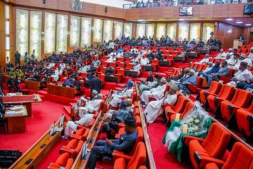Constituency Project: How lawmakers pad budgets