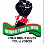 2027 Polls: National Youth Alliance Names Interim Executive Committee