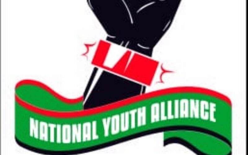 2027 Polls: National Youth Alliance Names Interim Executive Committee