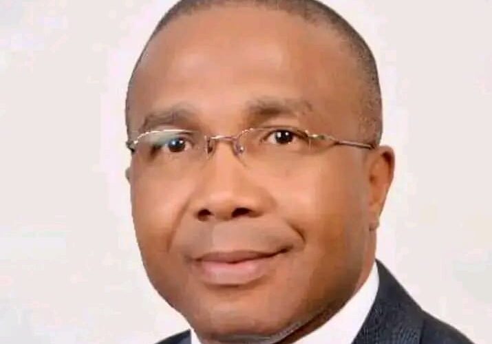 Renewed Hope Agenda : Dr. Emeka Agbasi: A Beacon of Hope for Nigeria’s Highway Infrastructure