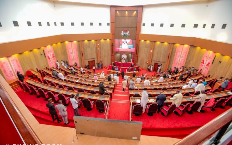 Nigerian senator walks out of chamber over Wike’s demolitions in FCT