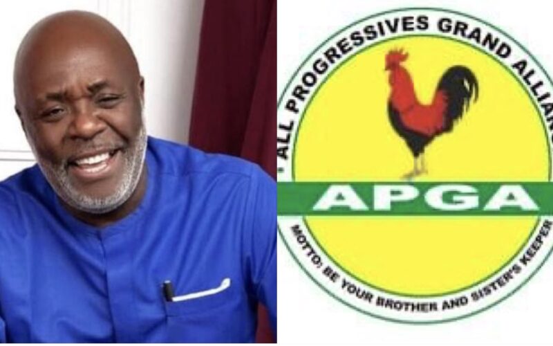 Court Stops Edozie Njoku From Parading Self As APGA National Chairman