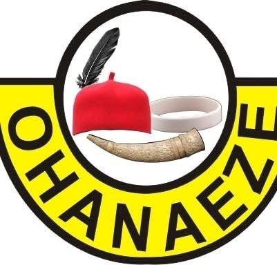 Ohanaeze Ndigbo Gets New President General