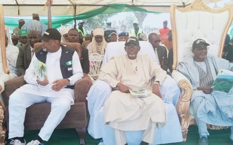 Renewed Hope Agenda: Jigawa State Farmers Reap Big From Wheat Farming, AS Federal, State Government Provide support