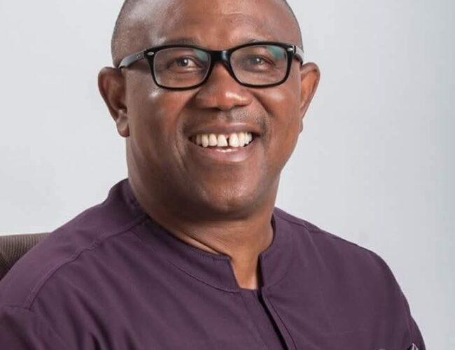 Peter Obi: No Other Presidential Aspirant In Nigeria Has My Kind Of Background