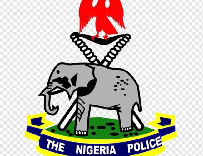 Police Confirm Killing Of Inspector In Anambra By 10-year-old Son