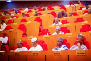 Constituents Now Rely On Lawmakers For Rent, Naming Ceremony Funds Because Others Are Inaccessible — Senate Spokesman 