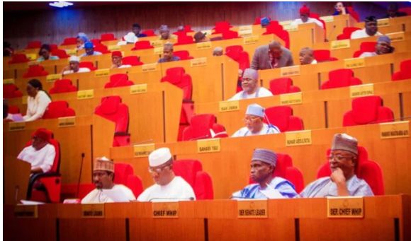 Constituents Now Rely On Lawmakers For Rent, Naming Ceremony Funds Because Others Are Inaccessible — Senate Spokesman 