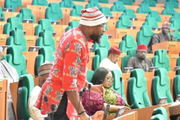 House of Representatives Adopts Rep. Ibe Okwara Osonwa’s Motion, Orders IGP, NSCDC To Enforce Full Uniform Compliance At Checkpoints