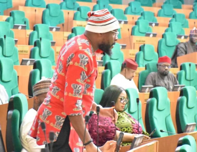 House of Representatives Adopts Rep. Ibe Okwara Osonwa’s Motion, Orders IGP, NSCDC To Enforce Full Uniform Compliance At Checkpoints
