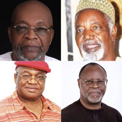 Honours, Memory, and Those Yet to Be Honoured, By Osita Chidoka