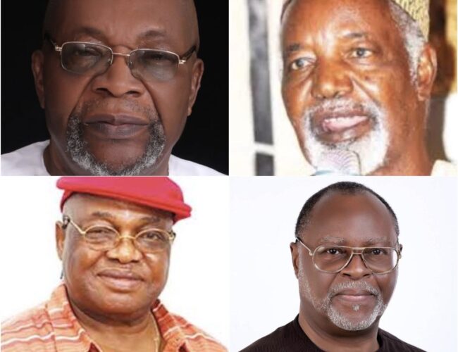 Honours, Memory, and Those Yet to Be Honoured, By Osita Chidoka