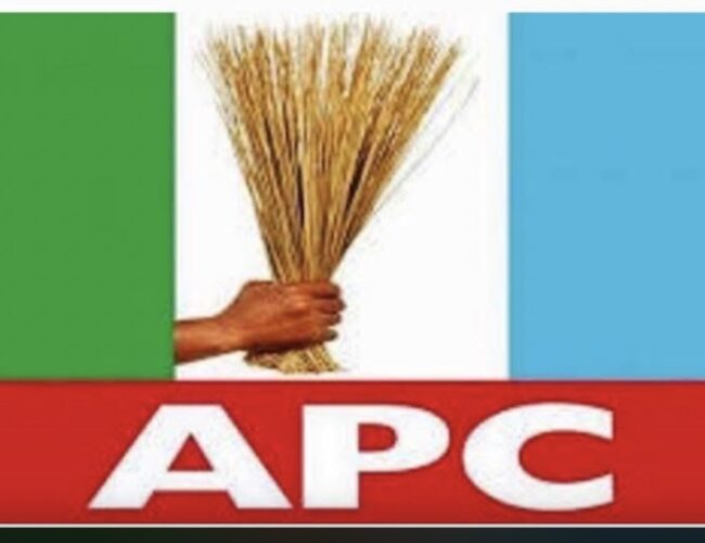 FCT: APC wins Bwari chairmanship election
