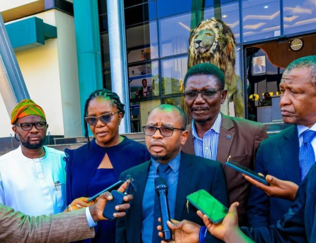 Enugu State and UNESCO IGGP Nigeria Explore Geoheritage Conservation and Geopark Development