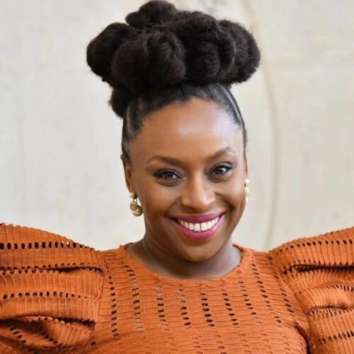 Nigerian Medical Panel Suspends Hospital MD, Two Doctors Over Death Of Chimamanda Adichie’s Son