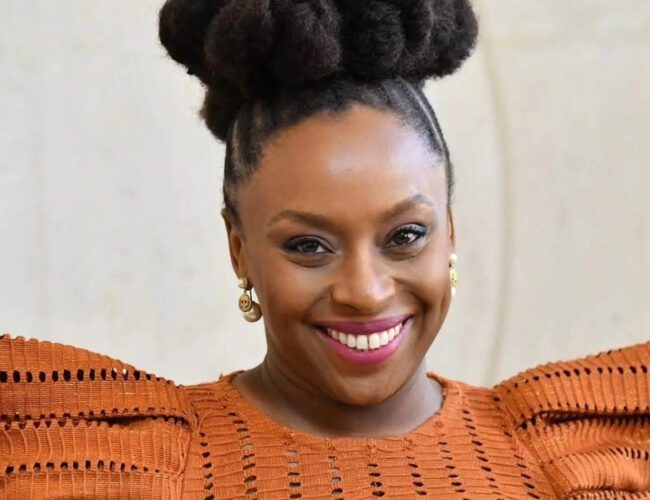 Nigerian Medical Panel Suspends Hospital MD, Two Doctors Over Death Of Chimamanda Adichie’s Son