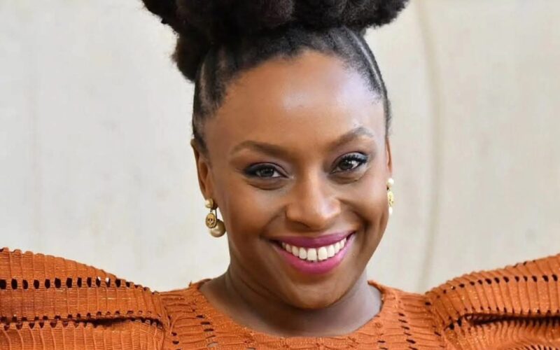 Nigerian Medical Panel Suspends Hospital MD, Two Doctors Over Death Of Chimamanda Adichie’s Son