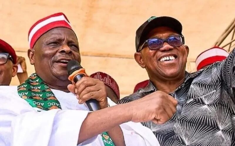 REVEALED: Why Peter Obi, Kwankwaso Dumped ADC For NDC